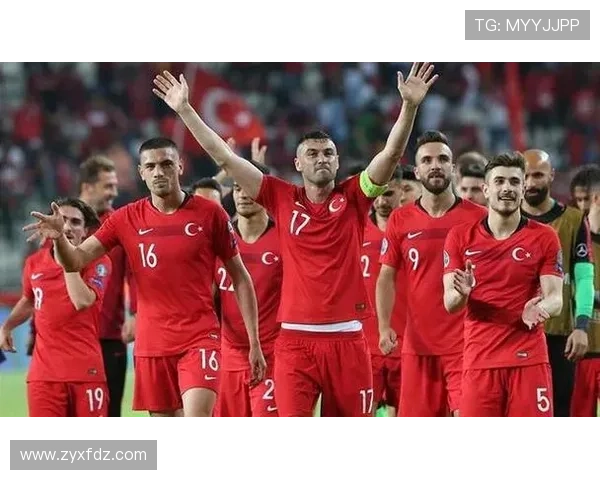 土耳其足球明星排行榜揭晓谁是足坛之星与传奇的较量